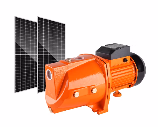 Pompe à eau à moteur CC sans balais 1200gpd 4,5 L/